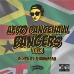 <img class='new_mark_img1' src='https://img.shop-pro.jp/img/new/icons5.gif' style='border:none;display:inline;margin:0px;padding:0px;width:auto;' />AFRO DANCEHALL BANGERS VOL.5  / G-Conkarah of Guiding Star
