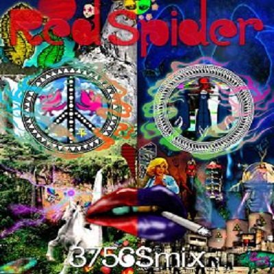 3756SMIX / REDSPIDER レッドスパイダー | REGGAE レゲエ CD MIX-CD 通販 - トレジャーボックスミュージック