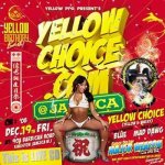 [USED LIVE-CD] YELLOW CHOICE.COM BIRTHDAY BASH 2K8 @JAMAICA / YELLOW CHOICE 祤 