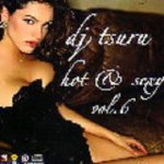 [USED2CD] HOT & SEXY VOL.6 / DJ TSURU