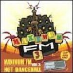 [USED] MAXIMUM FM VOL.3 / MAXIMUM ޥޥ