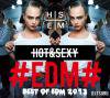 DJ TSURU / HOT & SEXY EDM BEST OF EDM 2013