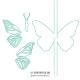 Concord & 9thʥ󥳡  ʥ) - Dieʥ - Butterfly Card