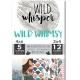 Wild Whisperʥ磻ɥѡ -  Wild Whimsy - Card Pack