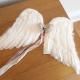 <img class='new_mark_img1' src='https://img.shop-pro.jp/img/new/icons58.gif' style='border:none;display:inline;margin:0px;padding:0px;width:auto;' />Atsuyo et Akiko - Angel Wing ʥ󥸥롡󥰡 KIKI - L size
