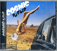 DJ Flip / Cosmic