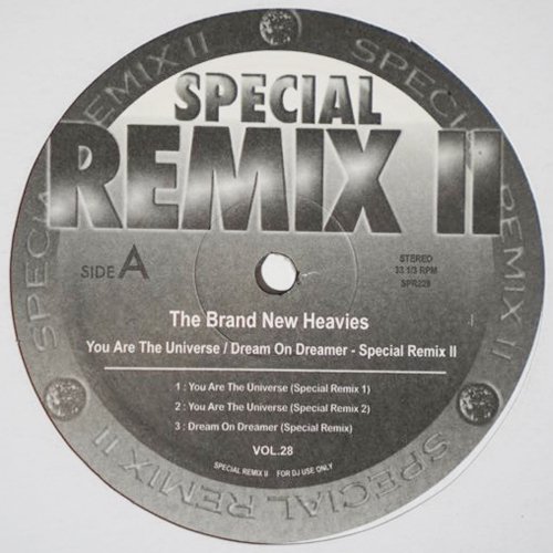 The Brand New Heavies / You Are The Universe, Dream On Dreamer (Special  Remix II Vol.28) [12inch]