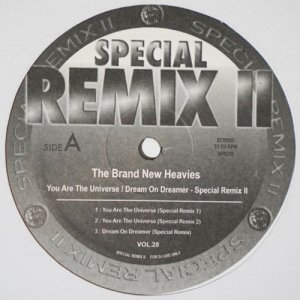The Brand New Heavies / You Are The Universe, Dream On Dreamer (Special Remix II Vol.28) [12inch]
