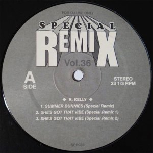 R. Kelly / Summer Bunnies, She's Got That Vibe (Special Remix Vol.36) [12inch] - 激レアRemix収録！