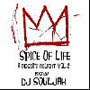 [再入荷待ち]DJ Souljah / Spice Of Life A Digger's Delight Vol.2 [MIX CD] - サンプリングソース！