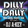 DJ A-KEY / DILLY DALLY -IN HI LEVEL PARTY MIX- [MIX CD] - ֥ŴPARTY MIX