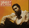 Shaggy / Why You Treat Me So Bad feat.Grand Puba [CD Single][Dead Stock] - レアなCDシングル未開封！