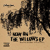 Now On / Willows EP - 1000枚限定、シリアルナンバー入り！