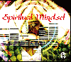 [Ԥ]  / Spiritual Mindset [MIX CD-R] - ˾򤴾̣졪
