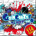 DJ DEEP / Goin Crazy!! Vol.6 [MIX CDDVD] - 1ǯ֤Υ󥹥ҥåȺ6Ƥ꡼!!