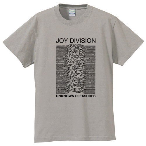 注目の 【バックプリント有】ジョイ・ディヴィジョン DIVISION Tシャツ