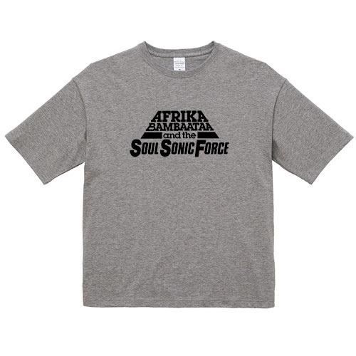 アフリカ・バンバータ・アンド・ザ・ソウル・ソニック・フォース