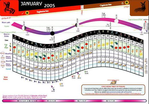 バイオダイナミックカレンダー　サンプル