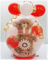 コービー☆クリームベア in balloon