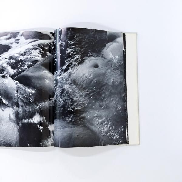 Lucien Clergue　ルシアン・クレルグ　写真集　ピカソ Lucien Clergue ルシアン・クレルグ 写真集 ピカソ - メルカリ