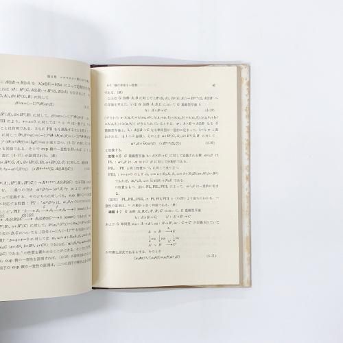 層の理論　河田敬義 41Bl5b+xJ-L._AC_SY200_QL15_.jpg