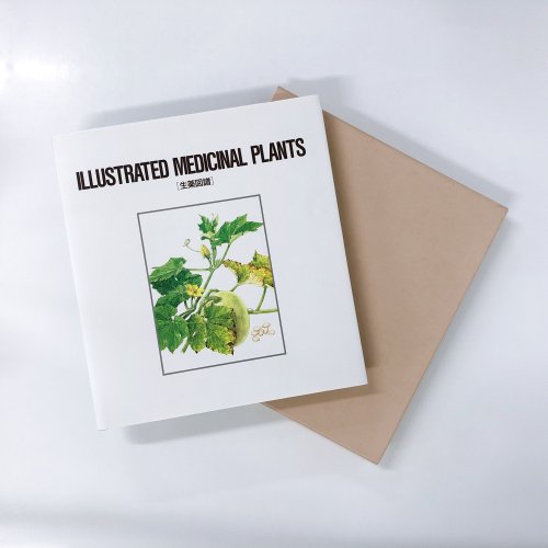 ILLUSTRATED MEDICANAL PLANTS 生薬図譜