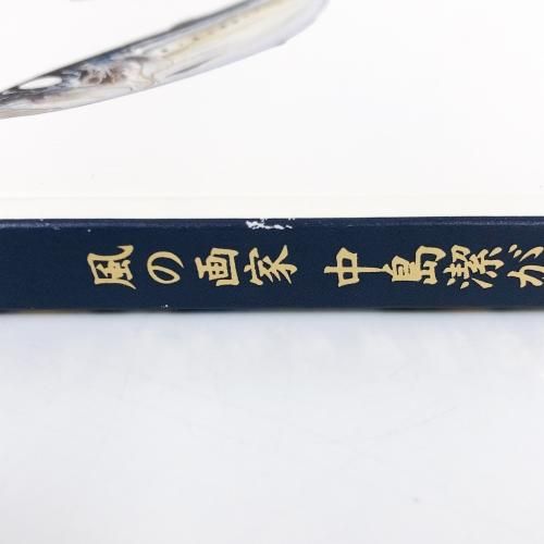 中島康正、爽涼、希少な額装用画集より、新品高級額装付、状態良好 フィルム)風の詩 中島潔作品集 NK406【販促花子ノベルティ】