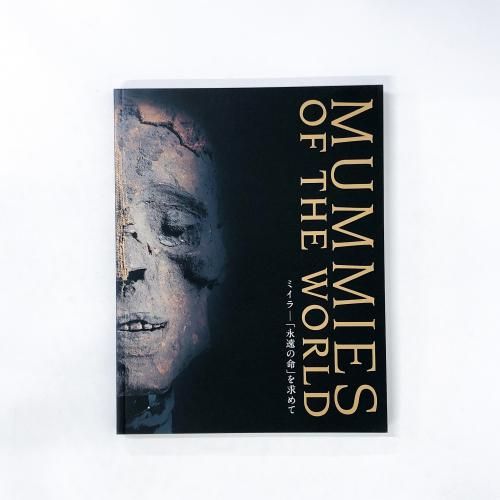 ��Ͽ������Ÿ���ߥ��顼�ֱʱ��̿�פ����