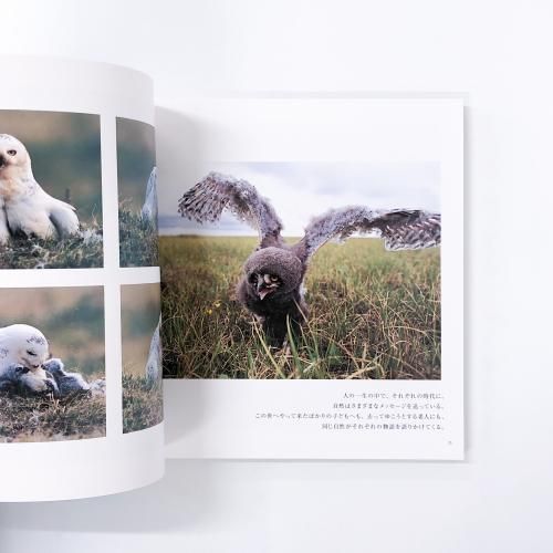 図録 星野道夫展 Alaska 星のような物語 - ノースブックセンター