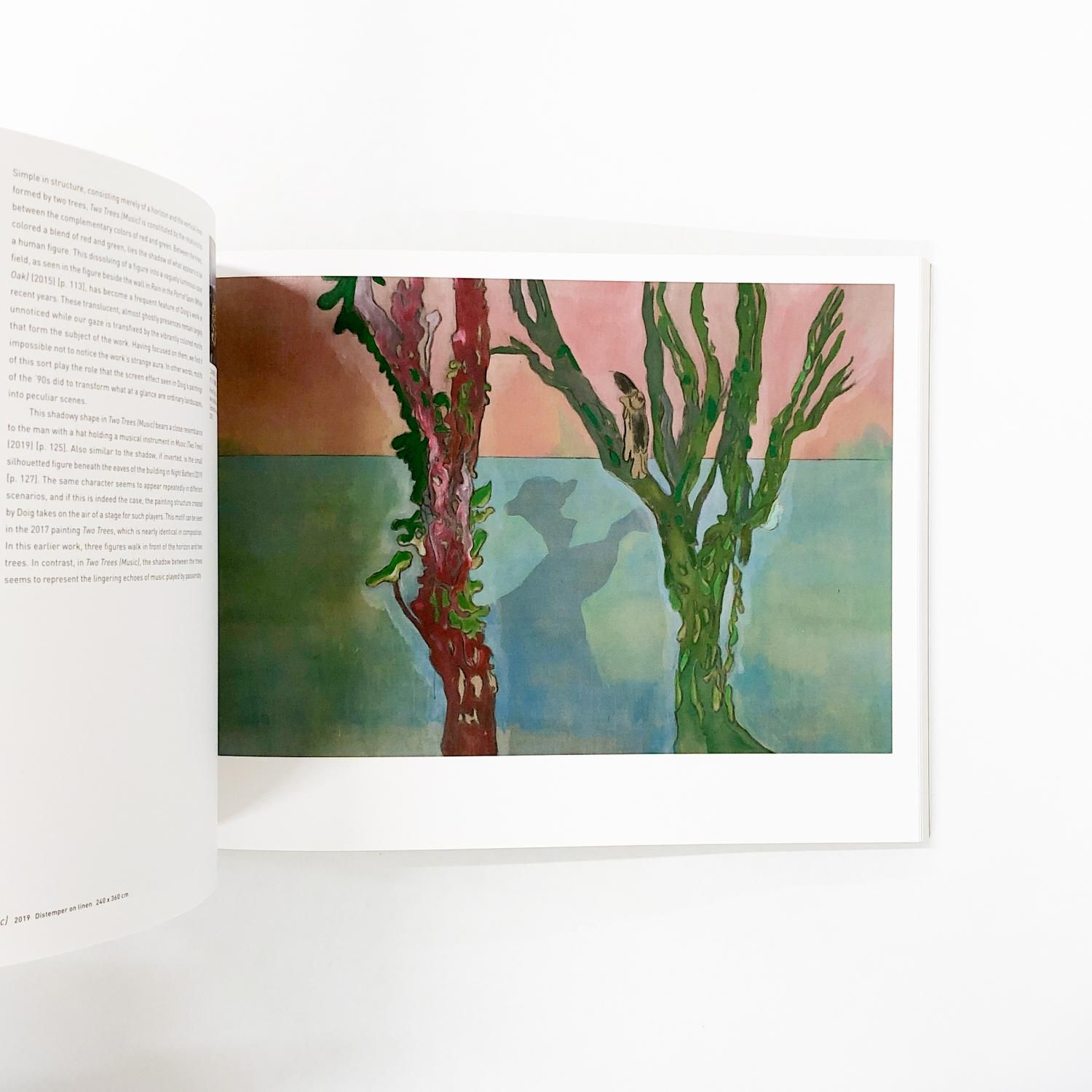 図録 | ピーター | ドイグ - ノースブックセンター