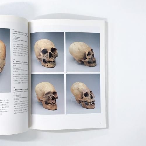 図録 世界遺産 ナスカ展 地上絵の創造者たち - ノースブックセンター
