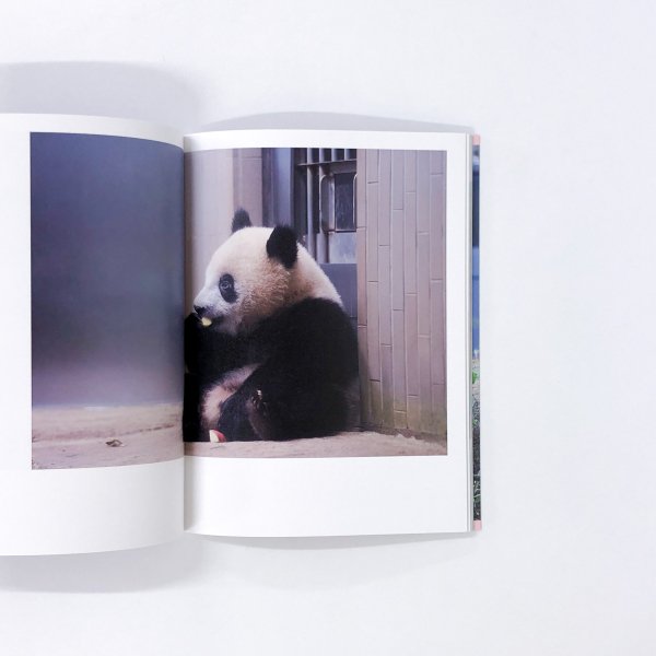 上野動物園公式 シャンシャン写真集 2017-2020 - 古本買取・通販