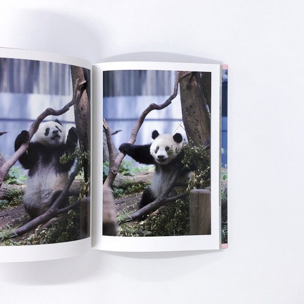 初回限定 上野動物園公式 シャンシャン写真集 Photo Book 2017-2020