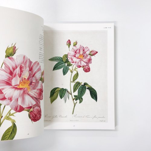 図録 薔薇空間 宮廷画家ルドゥーテとバラに魅せられた人々 - 古本買取 