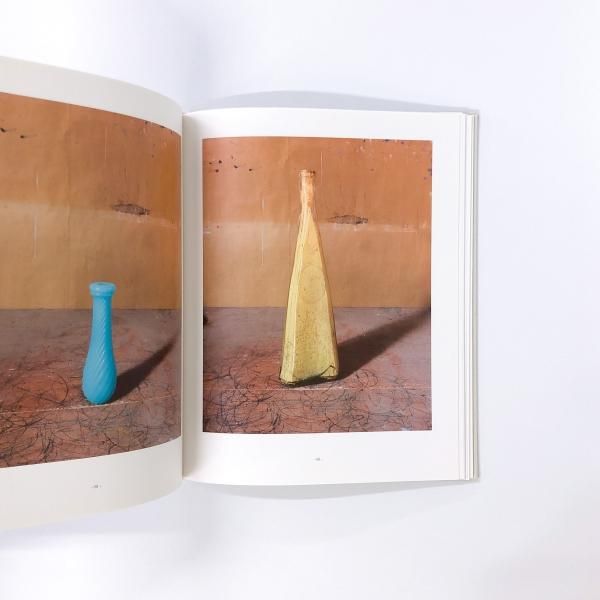 Morandi's Objects ジョエル・マイヤーウィッツ：モランディズ