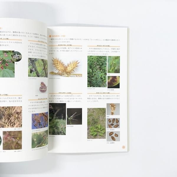 New Eyes for Plants 植物観察の本 New Eyes for Plants 植物観察の本