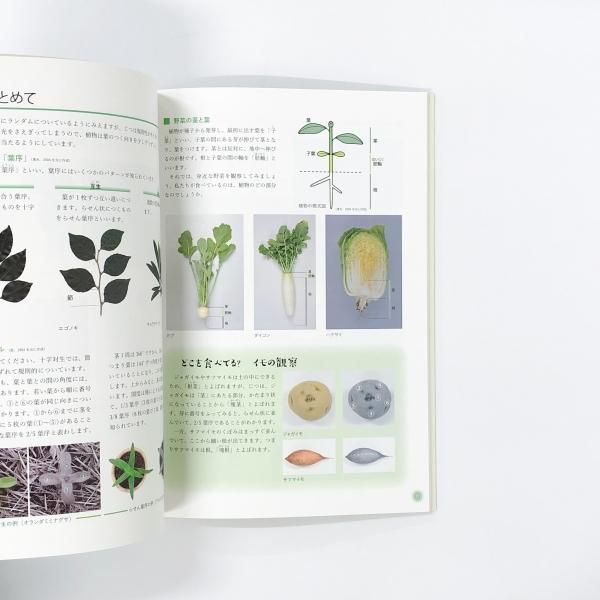 New Eyes for Plants 植物観察の本 New Eyes for Plants 植物観察の本 New Eyes for Plants 植物