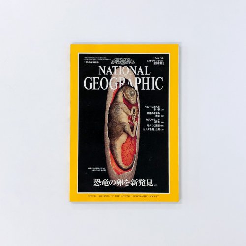 ナショナルジオグラフィック　日本版　1996年5月号　新発見、恐竜の卵