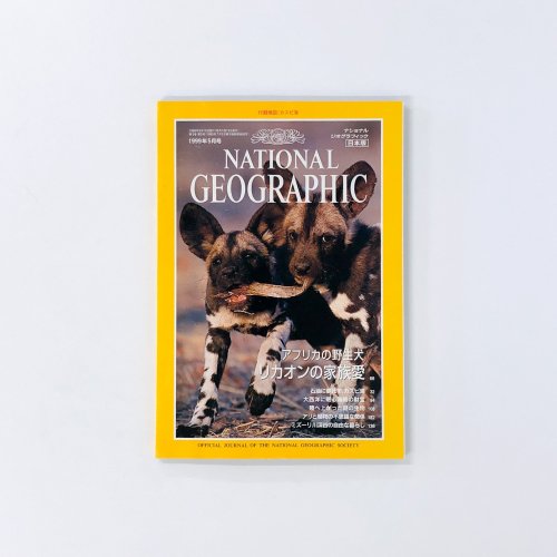 ナショナルジオグラフィック　日本版　1999年5月号　アフリカの野生犬　リカオンの家族愛