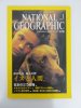 ナショナルジオグラフィック　日本版　2002年1月号　最良の友 最古の絆  イヌと人間