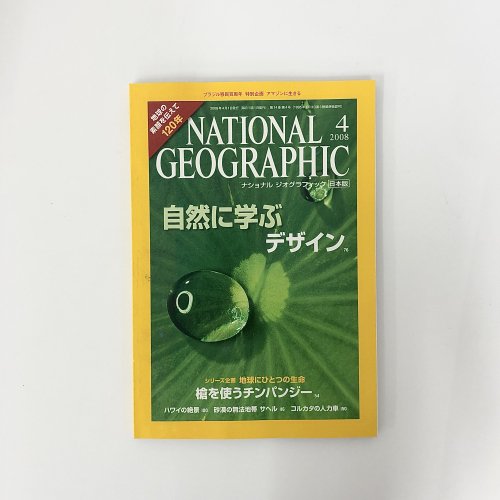 ナショナルジオグラフィック　日本版　2008年4月号　槍を使うチンパンジー