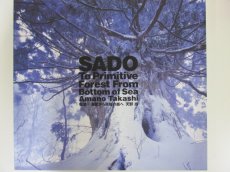 図録 佐渡 海底から原始の森へ 天野尚 SADO To Primitive Forest From 