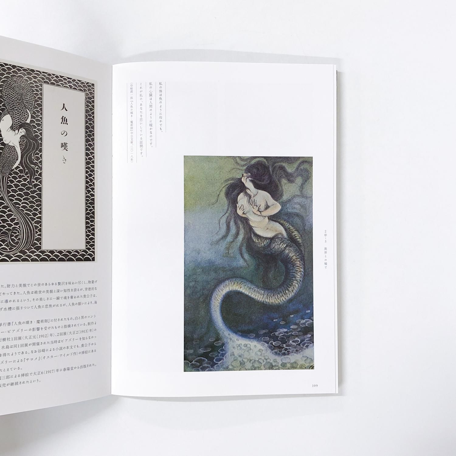 図録 | あやしい絵展 - ノースブックセンター