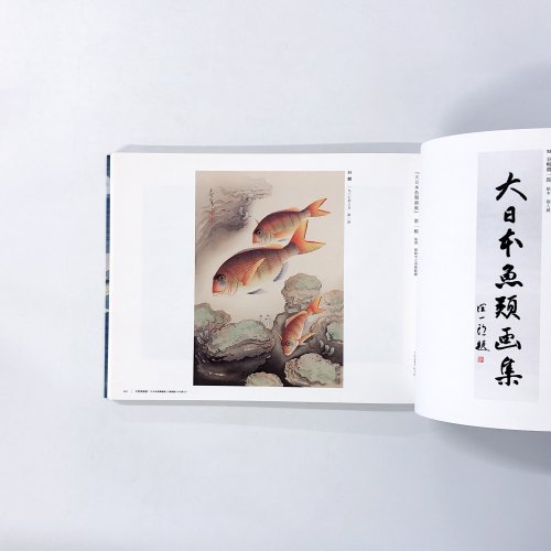 図録 大野麥風展 「大日本魚類画集」と博物画にみる魚たち - 古本買取・通販 ノースブックセンター|専門書買取いたします