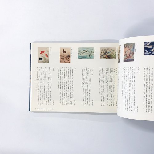 図録 大野麥風展 「大日本魚類画集」と博物画にみる魚たち - 古本買取・通販 ノースブックセンター|専門書買取いたします