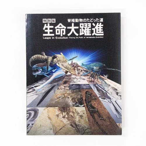 Ͽ Ÿ ̿ ưʪΤɤäƻ