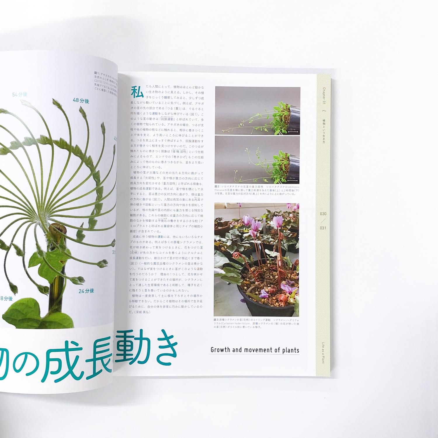 図録 | 特別展 | 植物 | 地球を支える仲間たち - ノースブックセンター