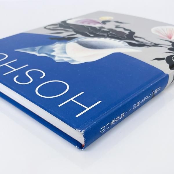 図録 | 日本画の変革者 | 山口蓬春展 | 伝統とモダンの融合 - ノース