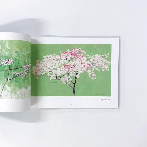 図録 安野光雅が描いた 御所の花展 - ノースブックセンター