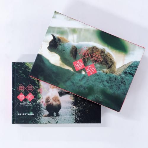 特集 猫 - ノースブックセンター販売 《カタログ数1万点以上、欲しい